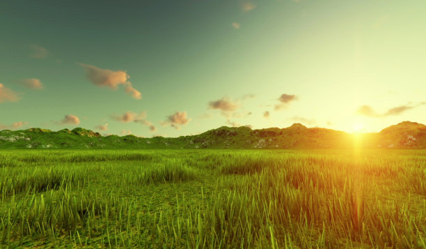 日落在无尽的绿色田野。美丽的自然和夏季景观。3 d渲染。图片下载