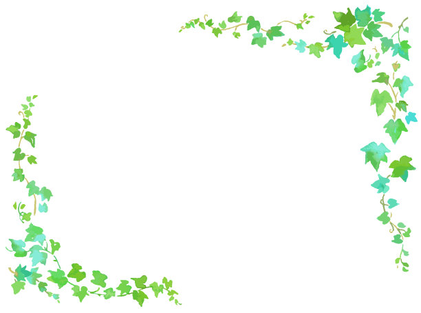 由常青藤叶子制成的框架图片下载