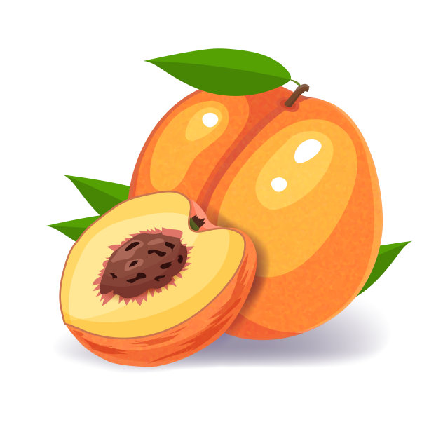 桃子图标矢量插图孤立的白色背景图片下载