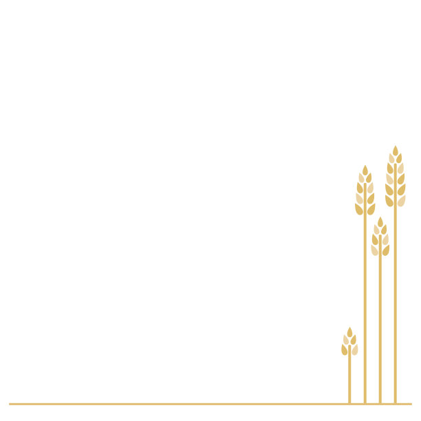 小麦矢量剪影。田野里白色背景下的小麦图片下载