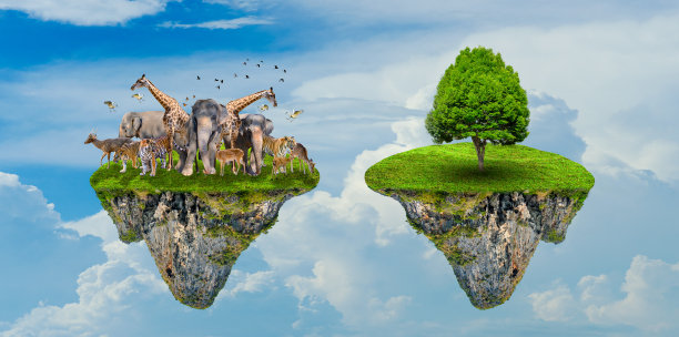 概念自然保护区保护野生动物保护区老虎鹿全球变暖食物面包生态人类保护野生和野生动物老虎鹿，树木在阳光的背景下图片下载