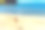 斐济沙滩上的吉他。图片下载