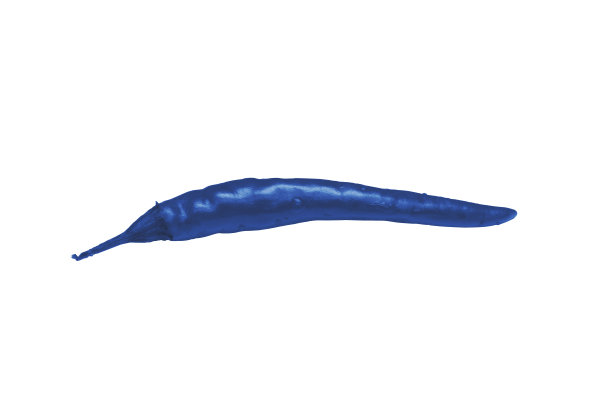 红辣椒孤立在白色背景上，食物概念，色调流行经典的2020年蓝色图片下载