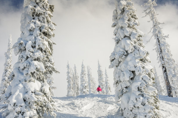 成年女性滑雪者在陡峭的滑雪道图片下载