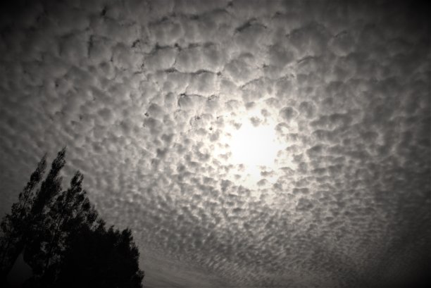 灰蒙蒙的一天，乌云密布图片下载