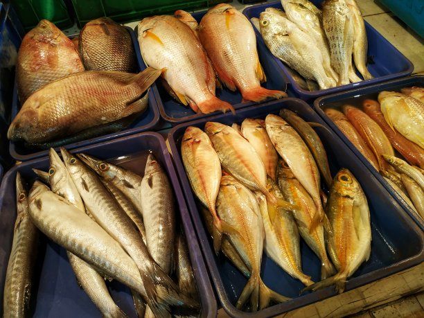 印度尼西亚雅加达的鱼市图片下载