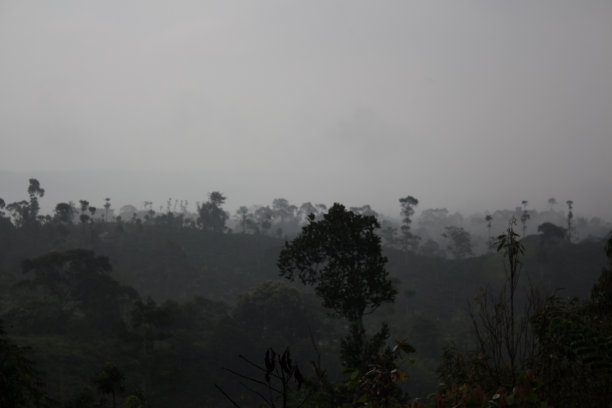 很酷的露水图片下载