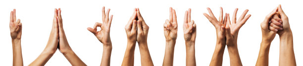 在白色背景上孤立的各种瑜伽动作图片下载