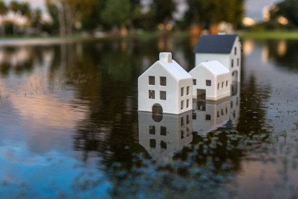 沉的梦想图片下载