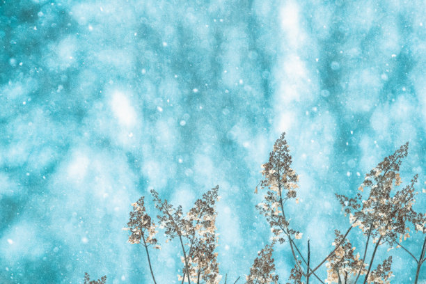 蓝色的冬天图片下载