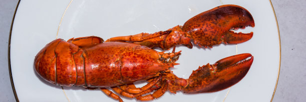 煮熟的龙虾躺在一个白色的盘子里。图片下载