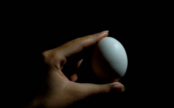 手拿着鸡蛋图片下载