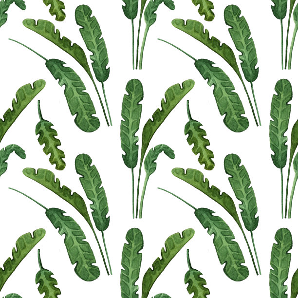 无缝水彩模式与绿色棕榈叶。现代丛林背景的壁纸，织物，印刷品，卡片，包装。夏季模式上的白色孤立的背景。素材图片