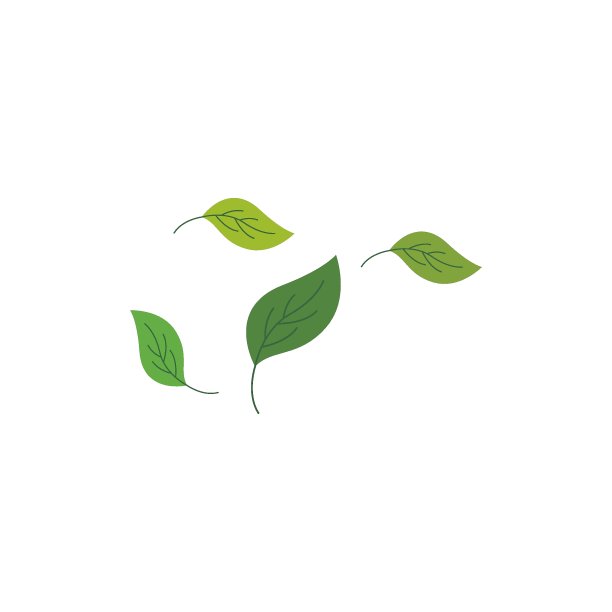 绿色的叶子图片下载