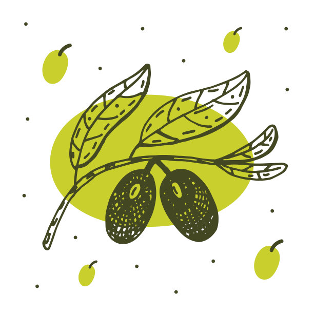 橄榄枝涂鸦矢量插图。图片下载