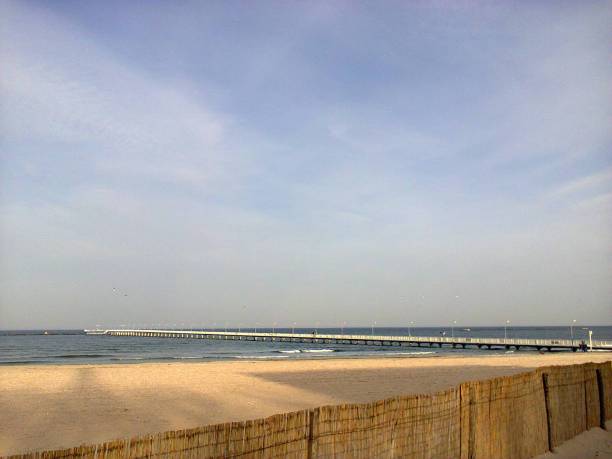 春天海滩05图片下载