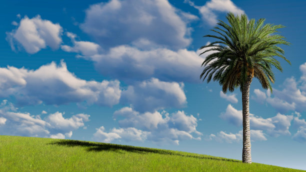 一个手掌天空背景3D渲染图片下载