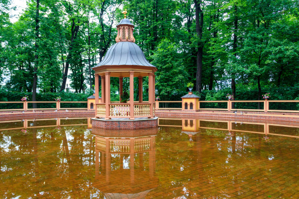 动物园(鸟类)池塘在老城市公园夏天花园在圣彼得堡，俄罗斯图片下载