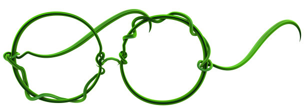 种植绿色藤蔓，玻璃图片下载