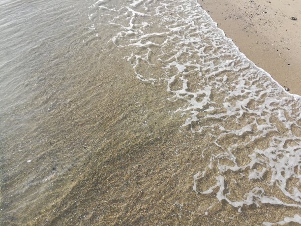 海滩上的水图片下载