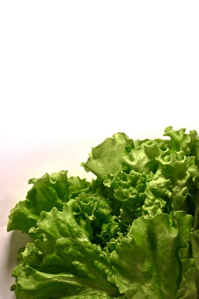 右下角是一份绿色的、用新鲜叶子做成的卷沙拉。图片下载