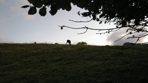 国家轮廓图片下载