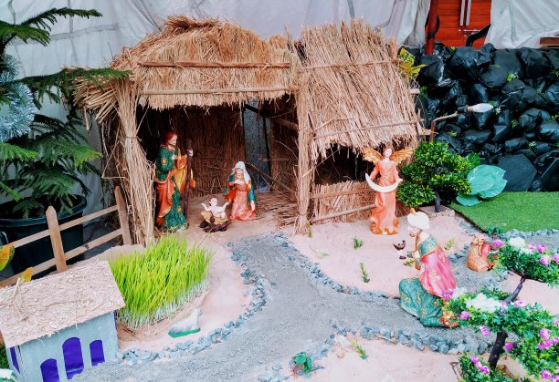 圣诞节结婚图片下载