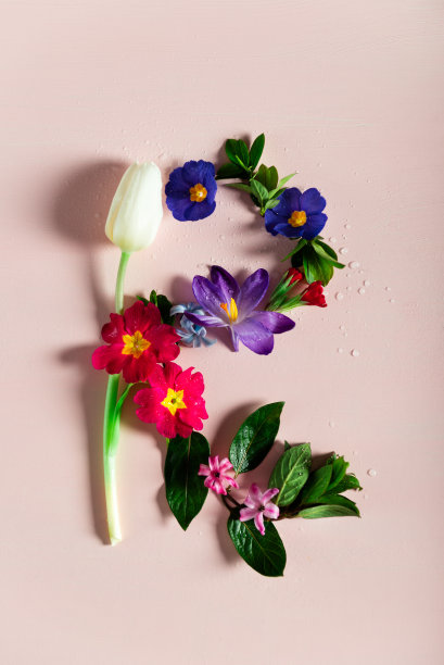 粉红色背景上由春花制成的字母R图片下载