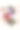 粉红色背景上由春花制成的字母R图片下载