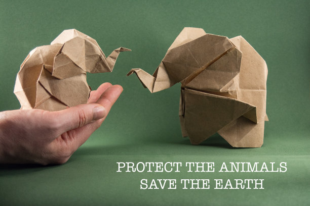 纸张和森林保护的概念图片下载