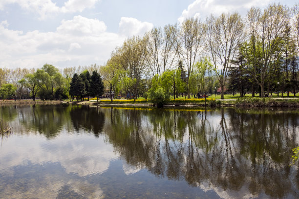美丽的水面倒影图片下载