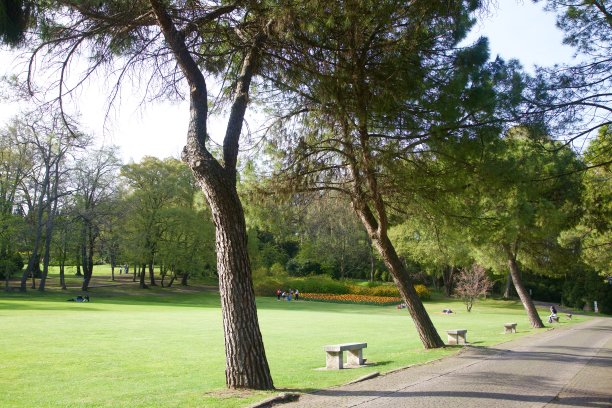 公园里的路图片下载