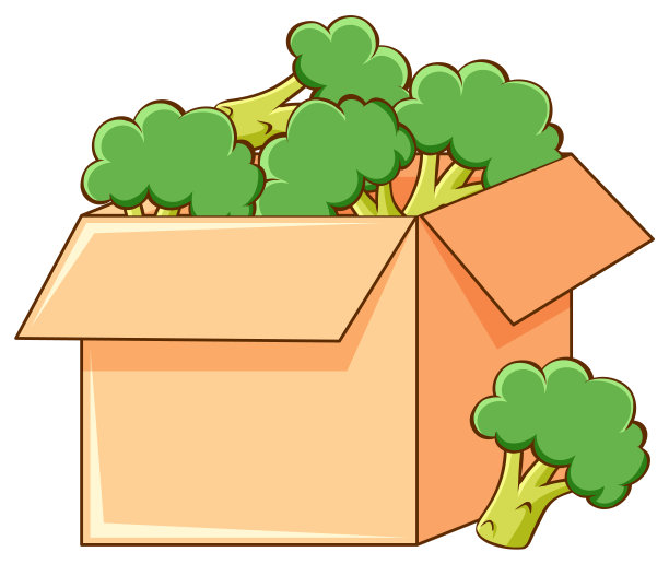 白色背景的花椰菜盒子图片下载