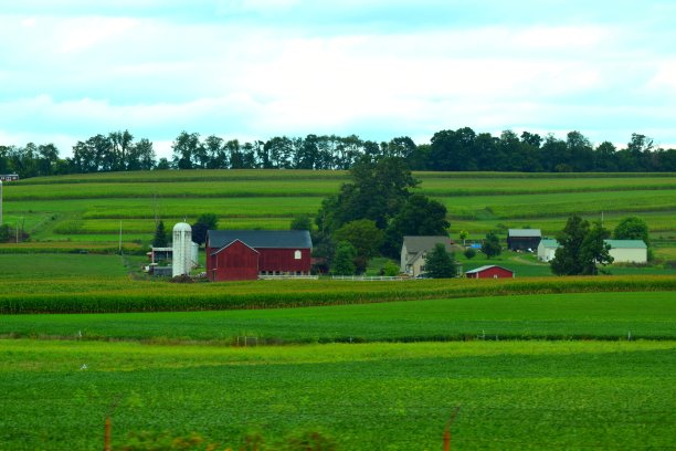 草地上的农场图片下载
