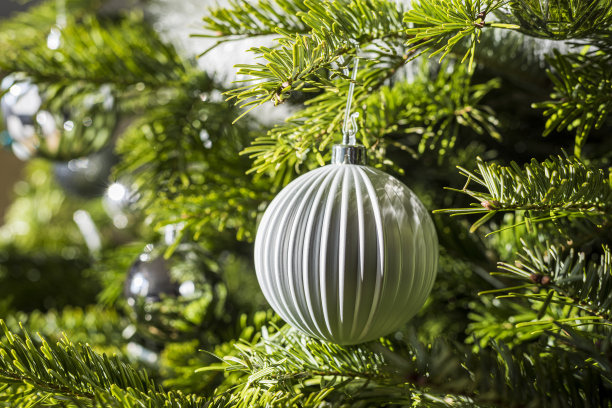 装饰有背景的圣诞树图片下载