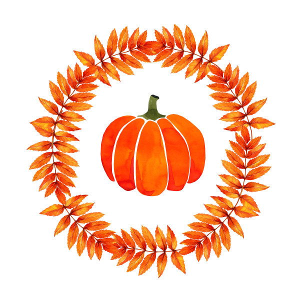 橙色的南瓜，白色的背景，在一个圆形的树叶花环。贺卡，广告模板。秋天的节日。感恩节图片下载