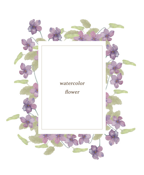 紫罗兰花框架图片下载