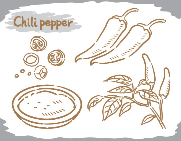 白辣椒上分离的辣椒。图片下载