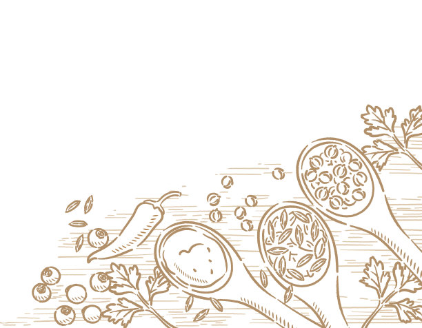 汤匙上的香料用于咖喱。图片下载