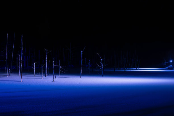 灯火通明的北方冬湖图片下载