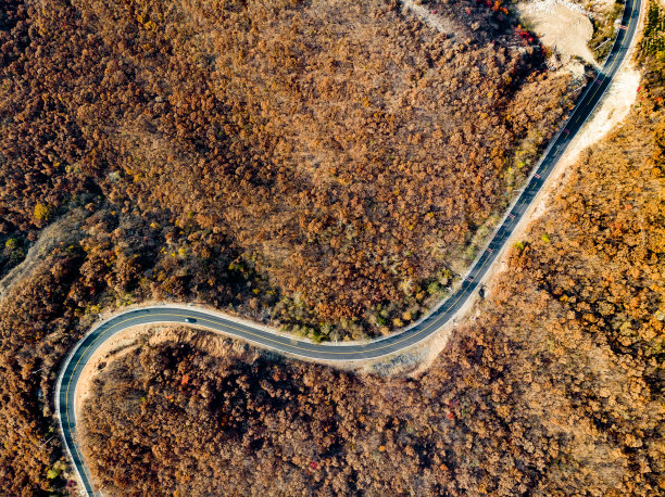 鸟瞰图惊人的道路之间的森林与秋天的颜色图片下载
