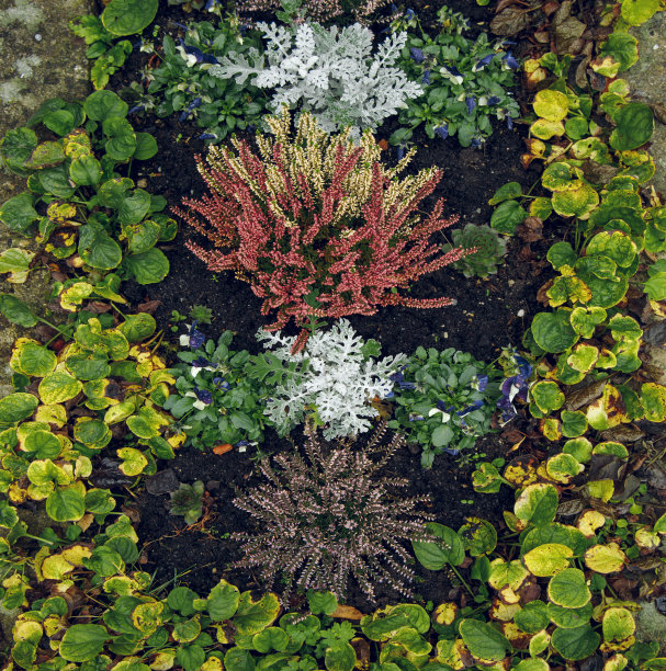 花园背景景观从上面的花坛与绿色的叶子和棕色的灌木丛图片下载