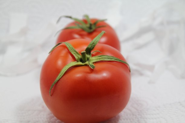 白色背景上的新鲜红色圆顶状图片下载