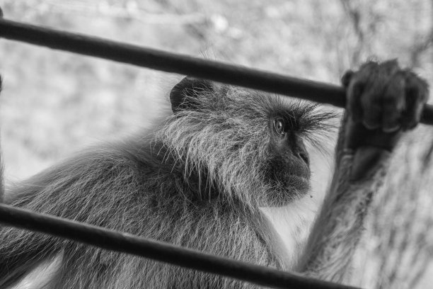 拉贾斯坦邦铁路风景图片下载