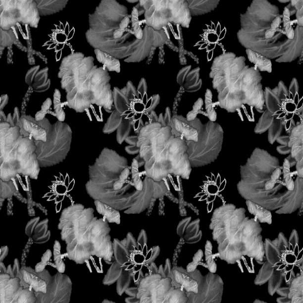 荷花图案上的黑色背景。莲花、墨水的形象。手工墨荷花在白色的背景。日本传统水墨画。图片下载