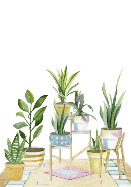彩旗和盆栽。手工绘制装饰绿植收集贺卡，邀请设计。植物女士插图图片下载