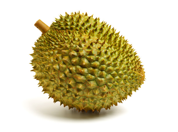 榴莲是东南亚水果之王图片下载