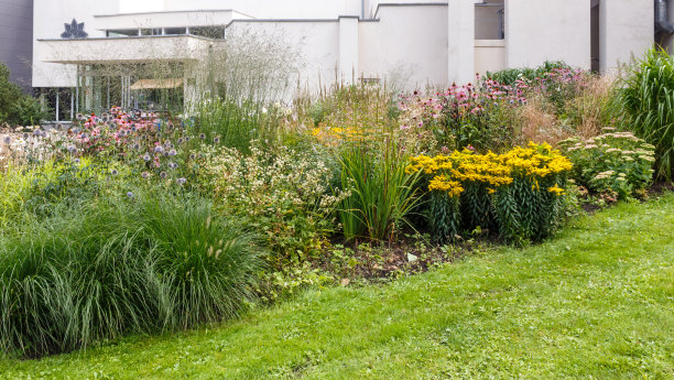 多年生植物复合花坛在城市公园。Druskininkai,立陶宛。图片下载