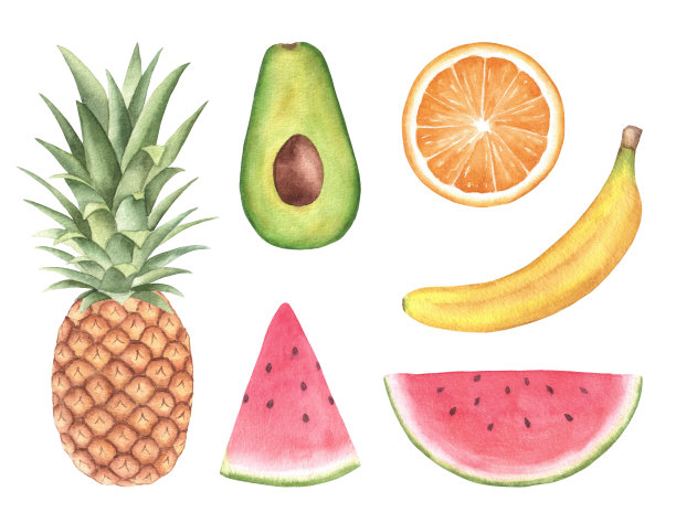 夏天水果组图片下载