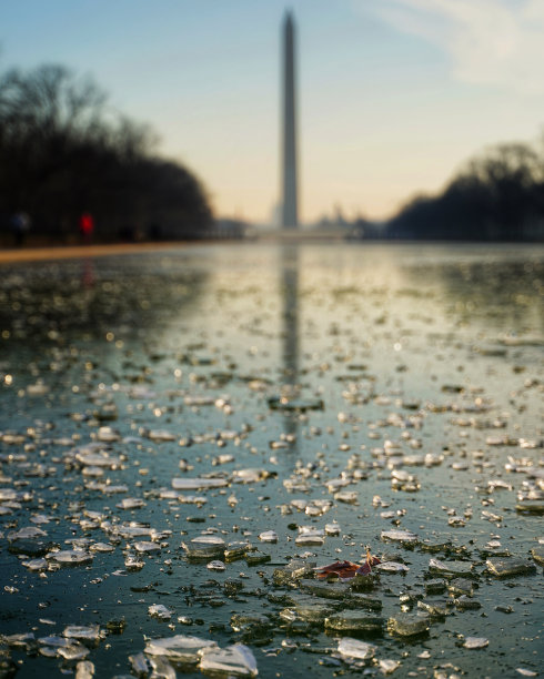 冰冻的华盛顿特区国家池塘图片下载